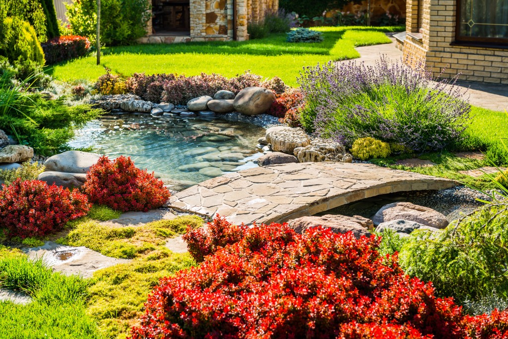 Pond in garden